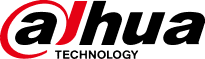 Dahua Store